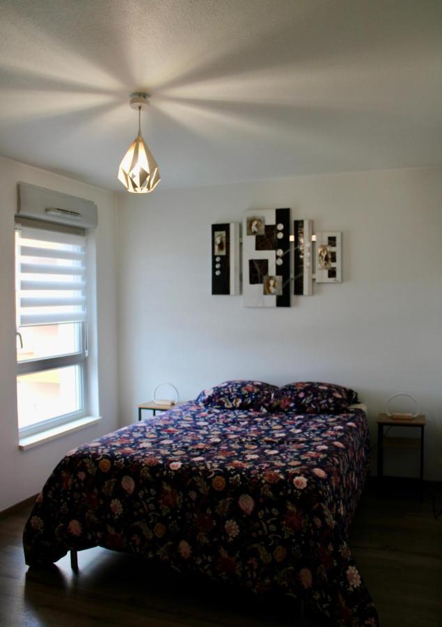 Appartement Confortable Avec Parking Prive Schiltigheim Exterior photo